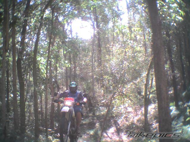 Photo 76152