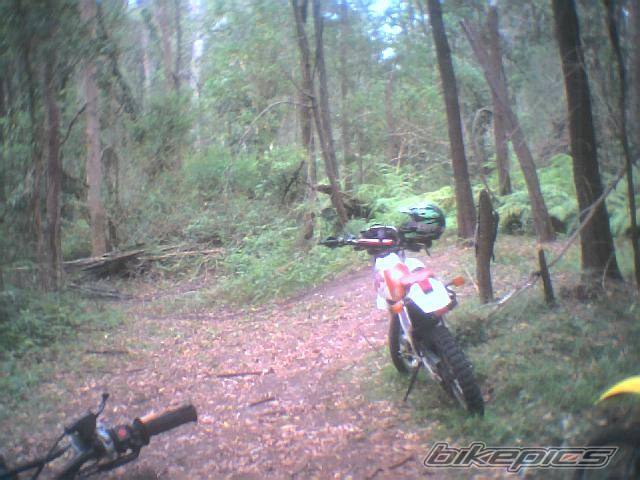 Photo 76153