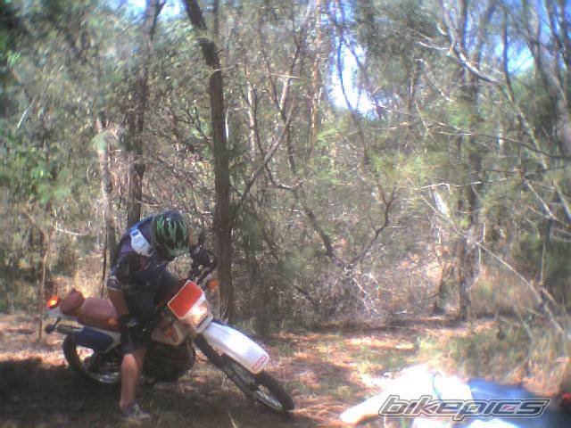 Photo 76158