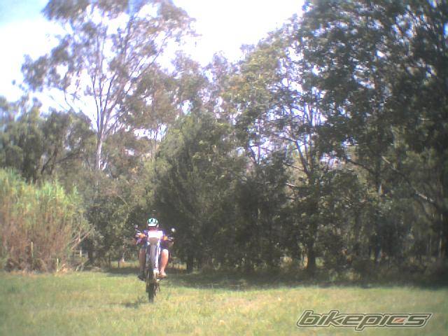 Photo 76161