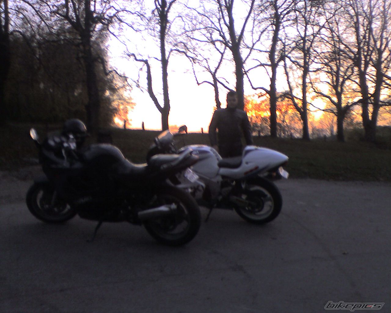 Photo 762270
