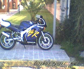 Photo 76240