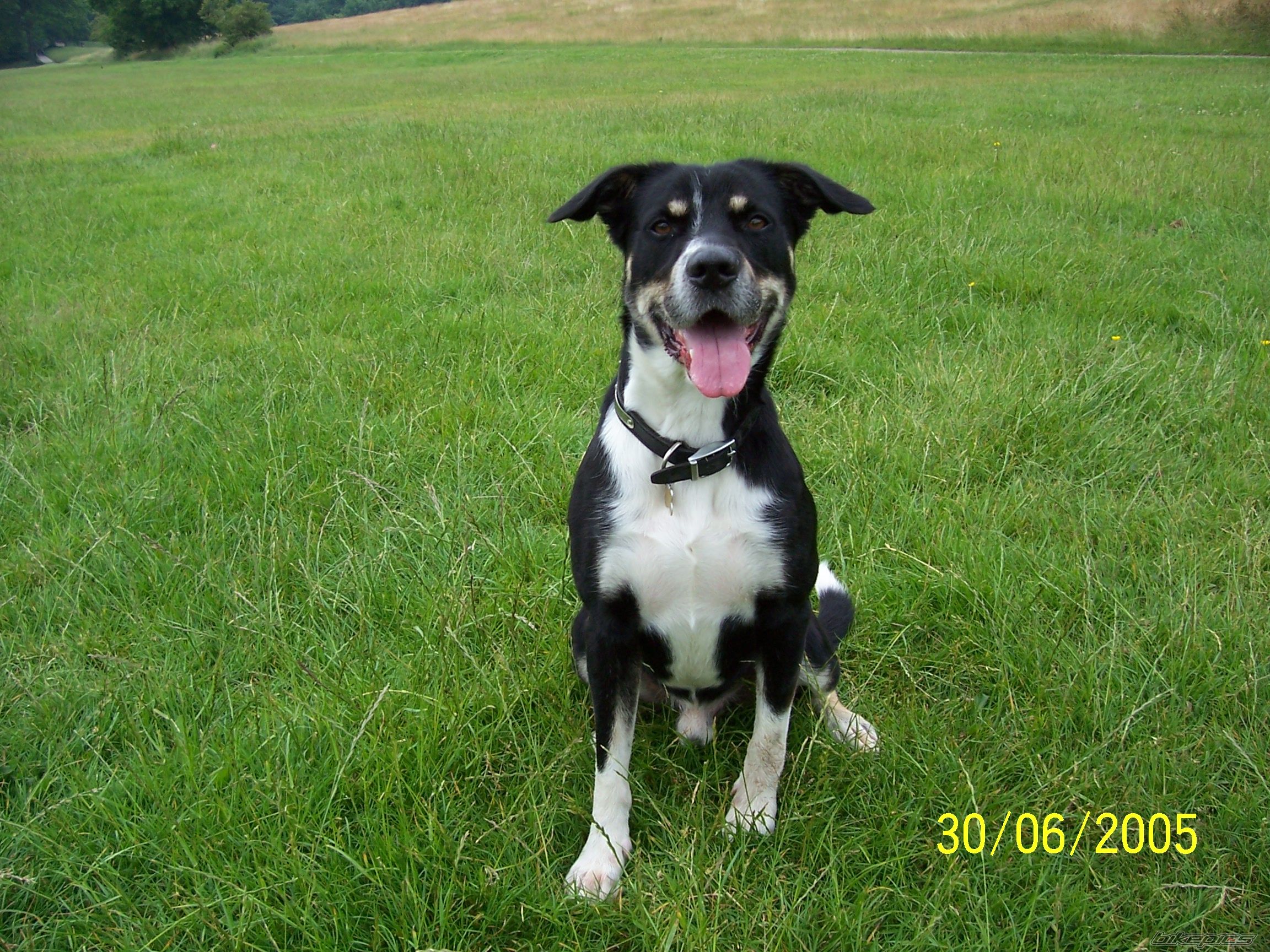 Photo 762421