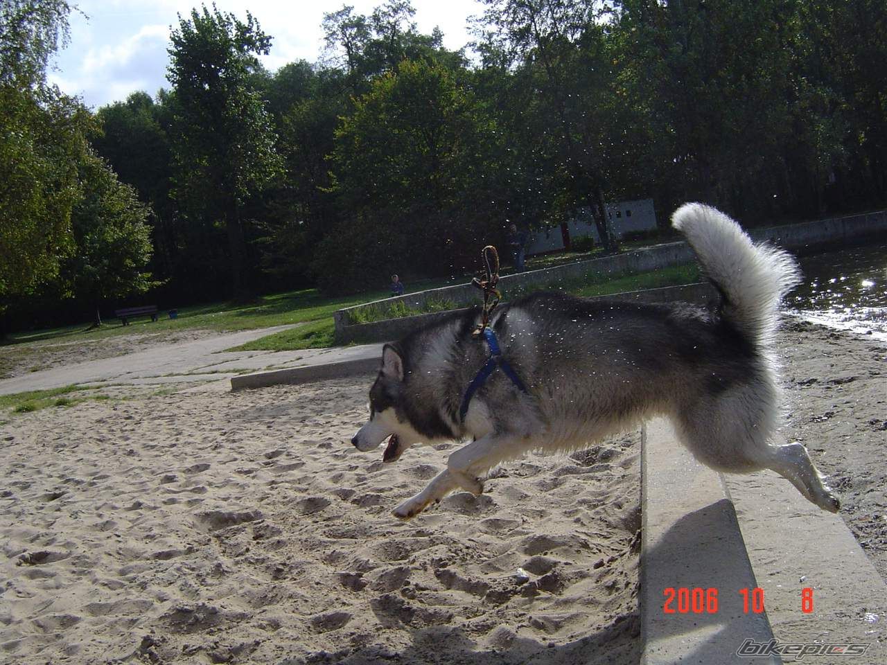 Photo 762885
