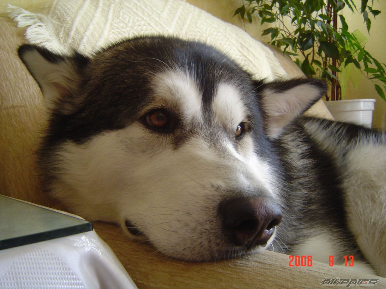 Photo 762887