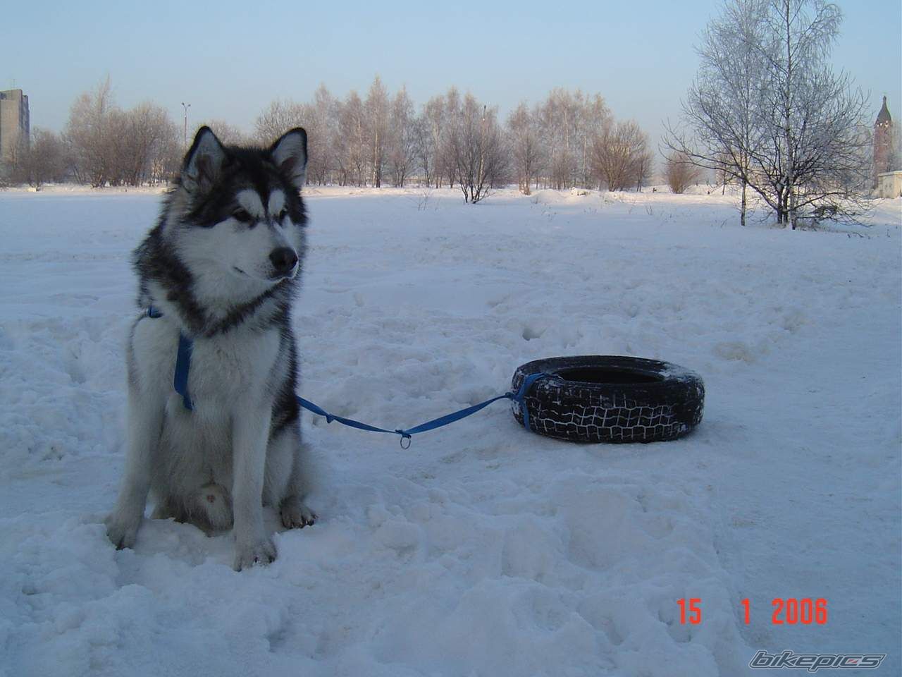 Photo 762890