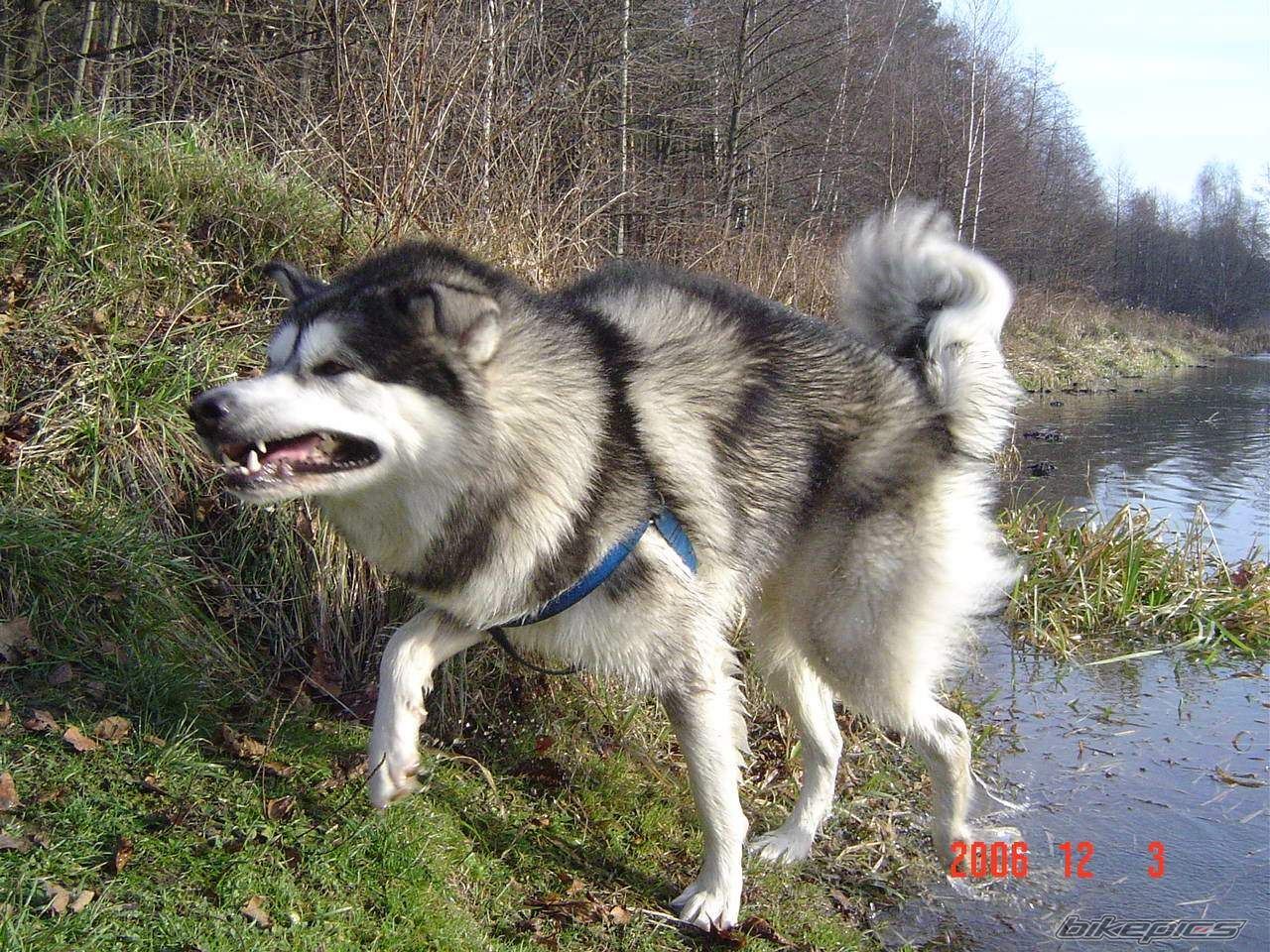 Photo 762892