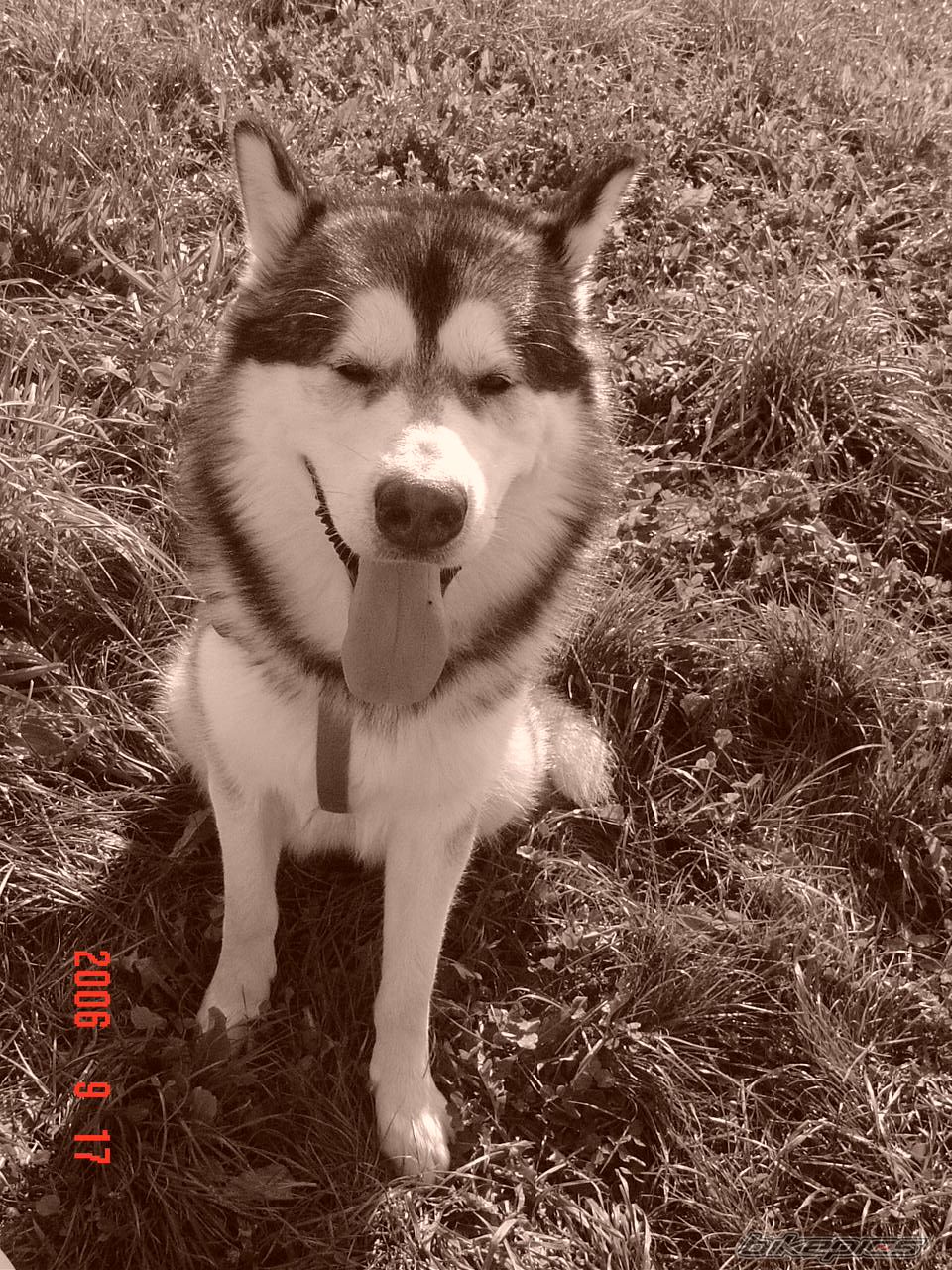 Photo 762894