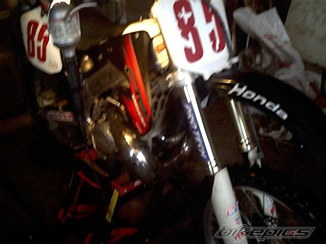 Photo 76295