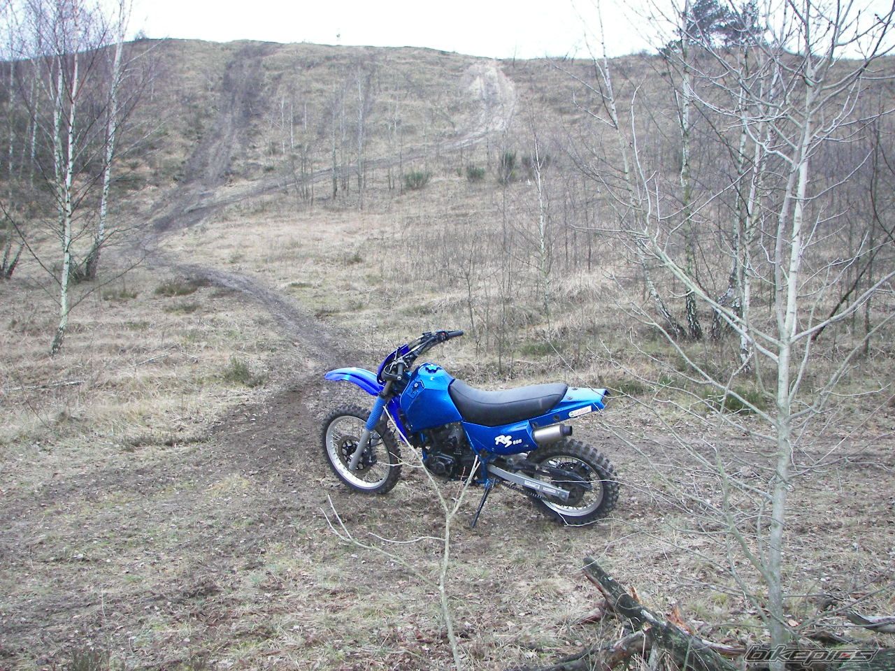 Photo 762985