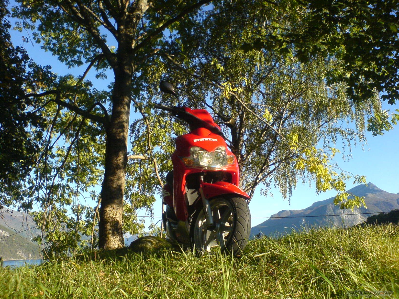 Photo 763648