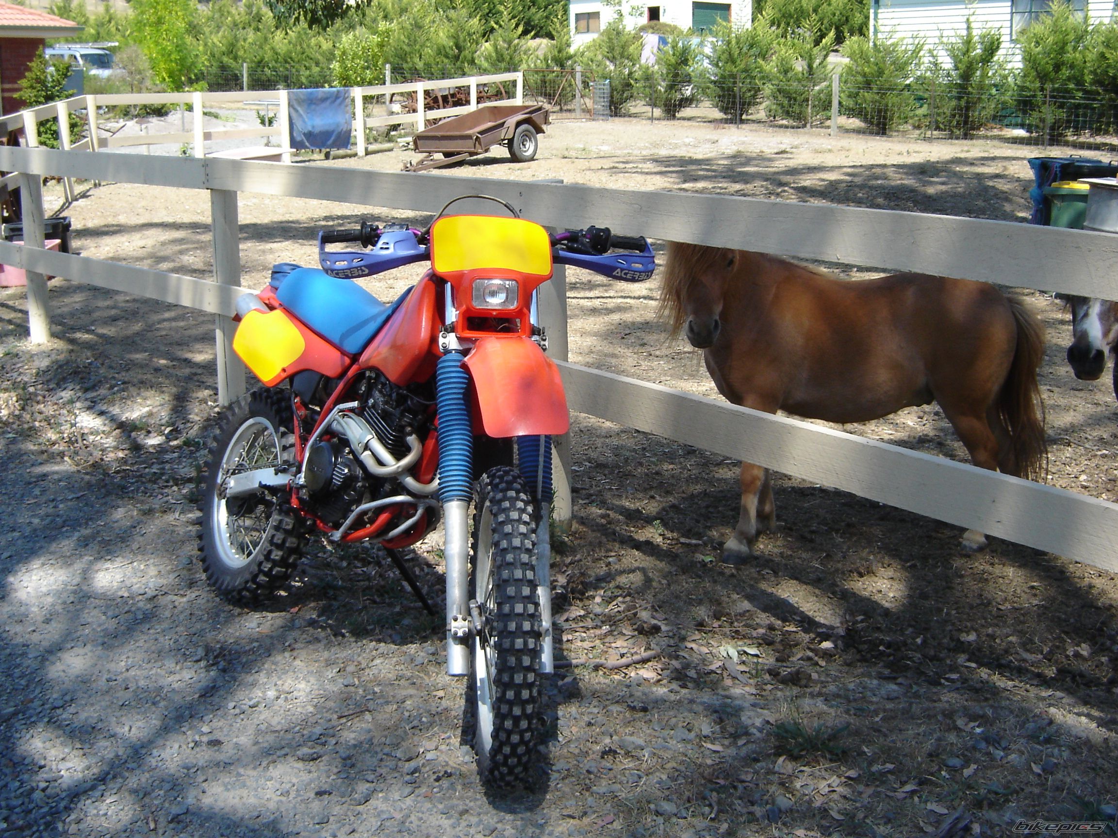 Photo 764131