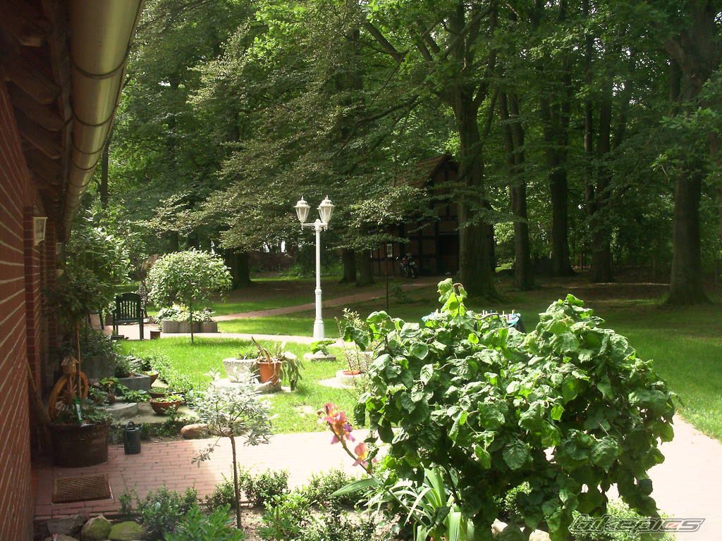 Photo 764712