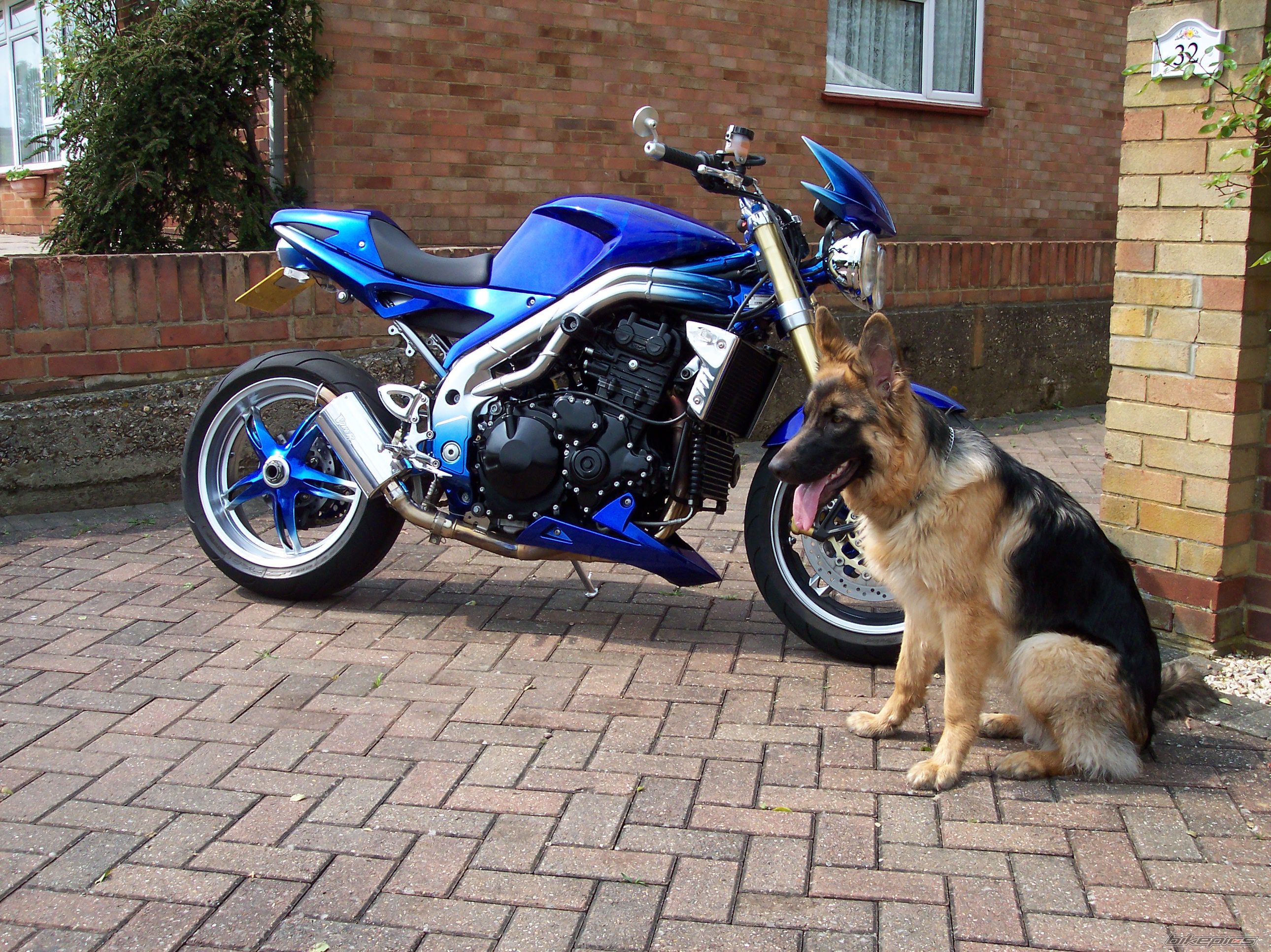 Bike Photo 764752