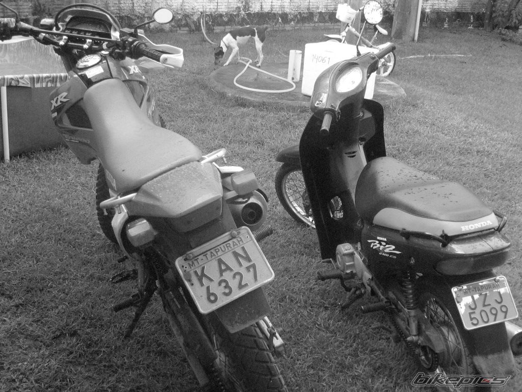Photo 765017
