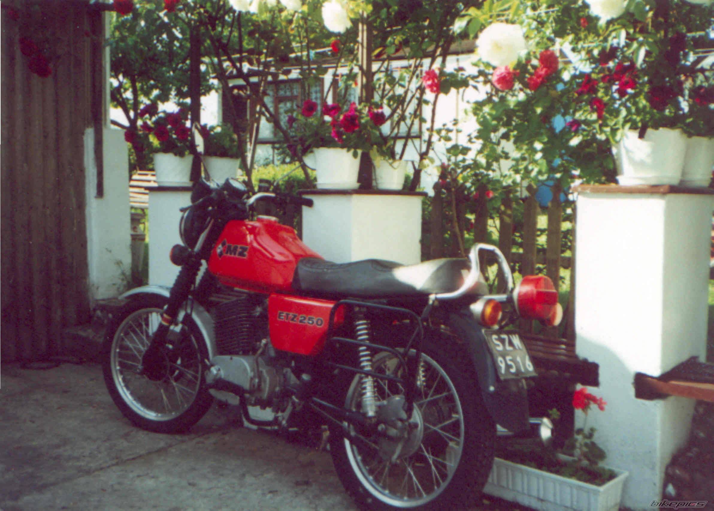 Photo 76522