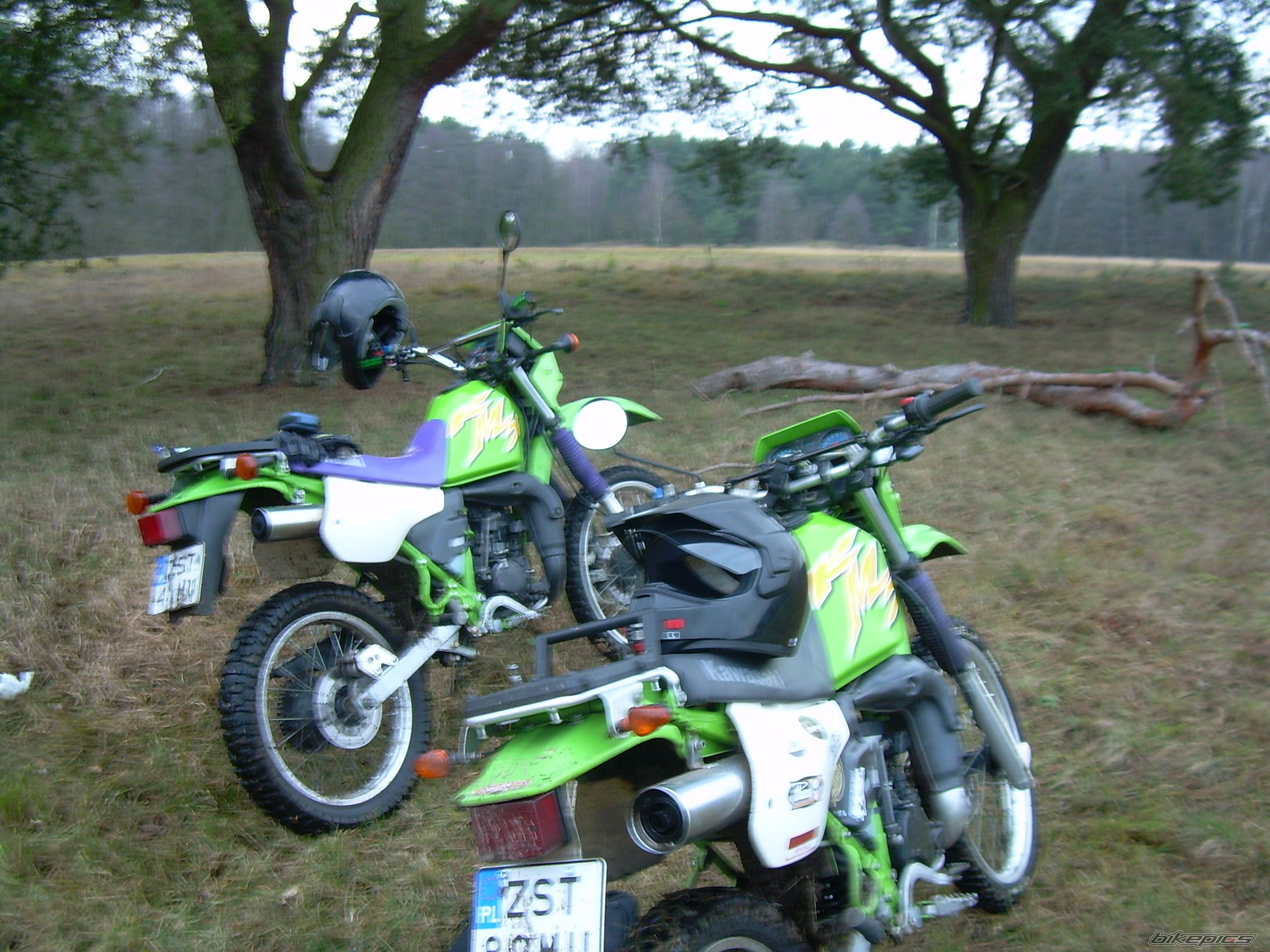 Bike Photo 765384