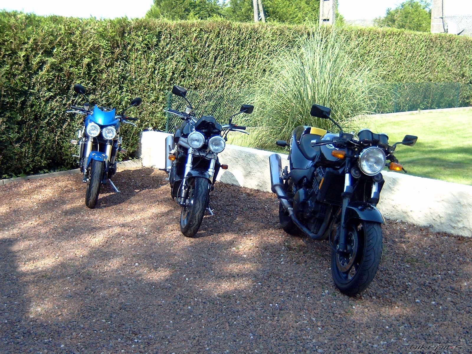Photo 765962