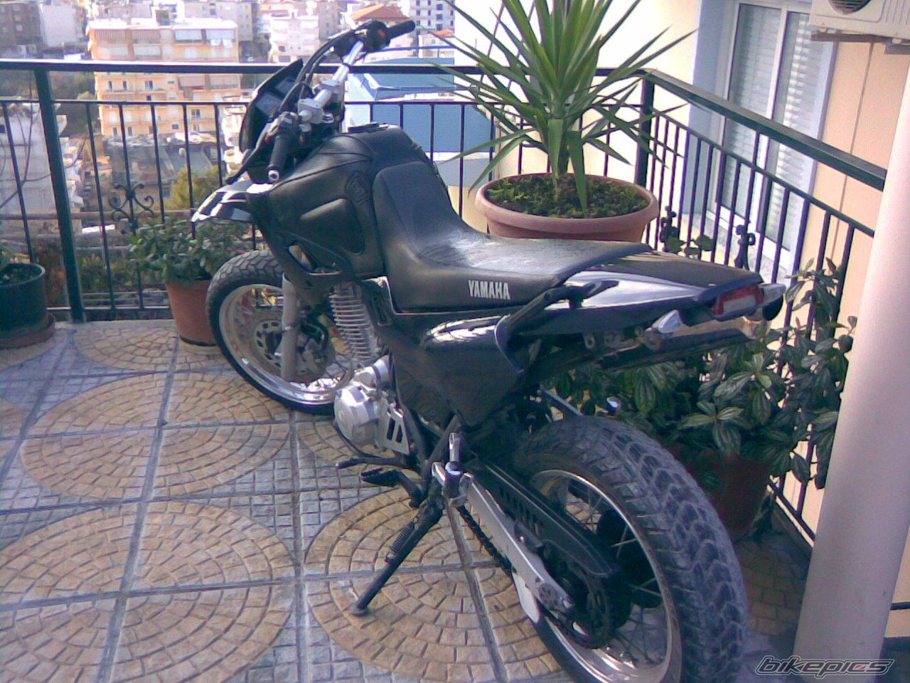 Photo 766030