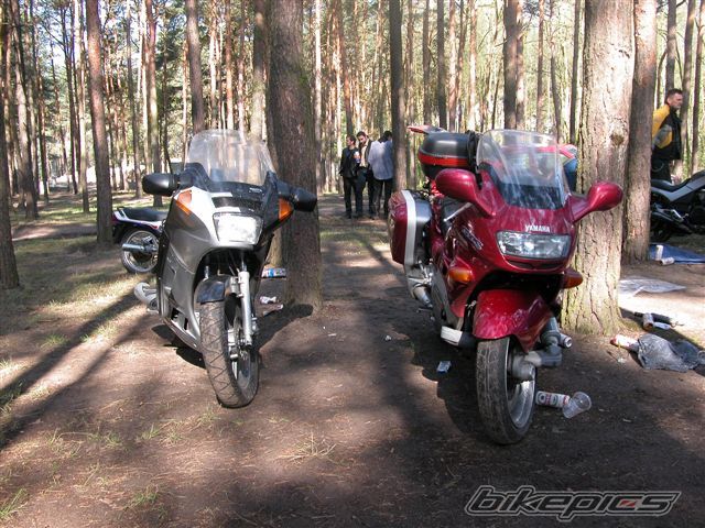 Photo 766290
