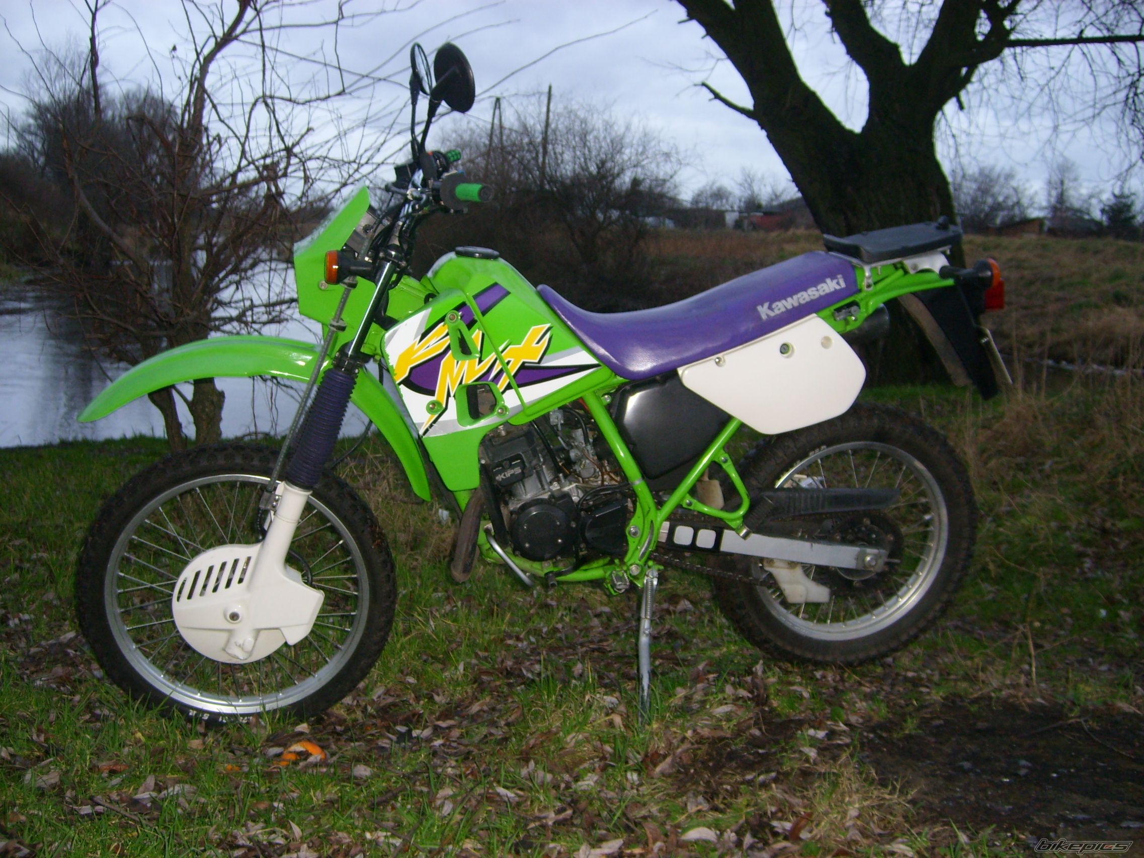 Photo 766686
