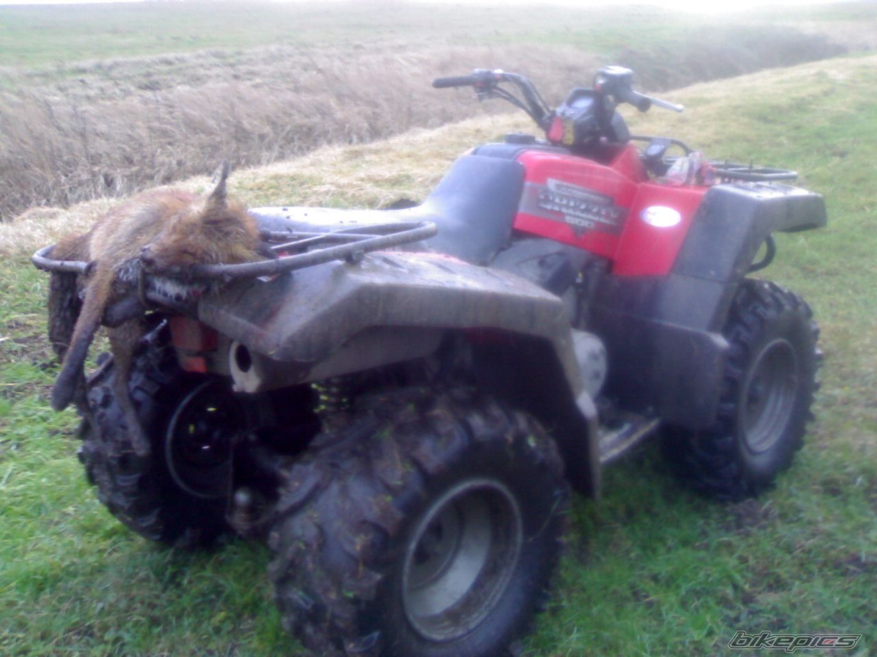 Photo 766896