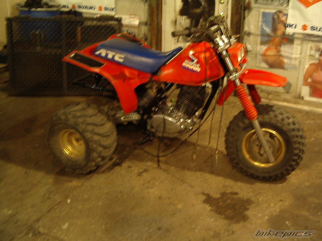 Photo 766994