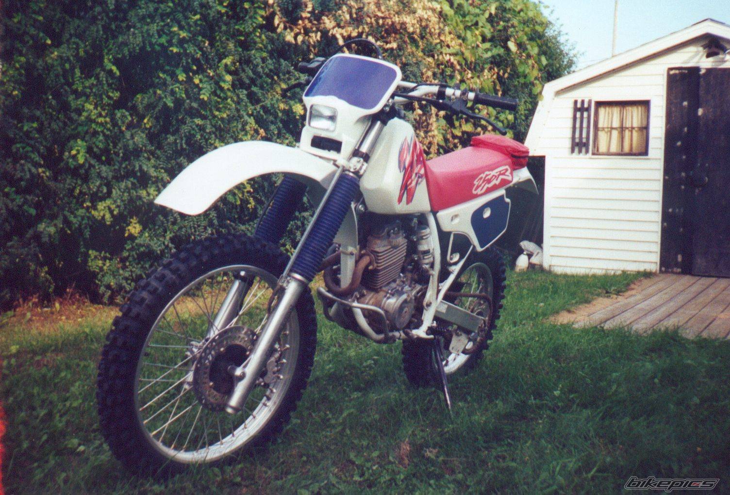 Photo 76701
