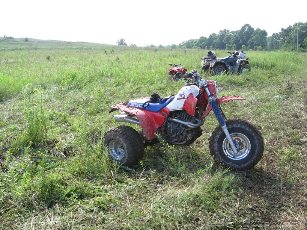Photo 767053