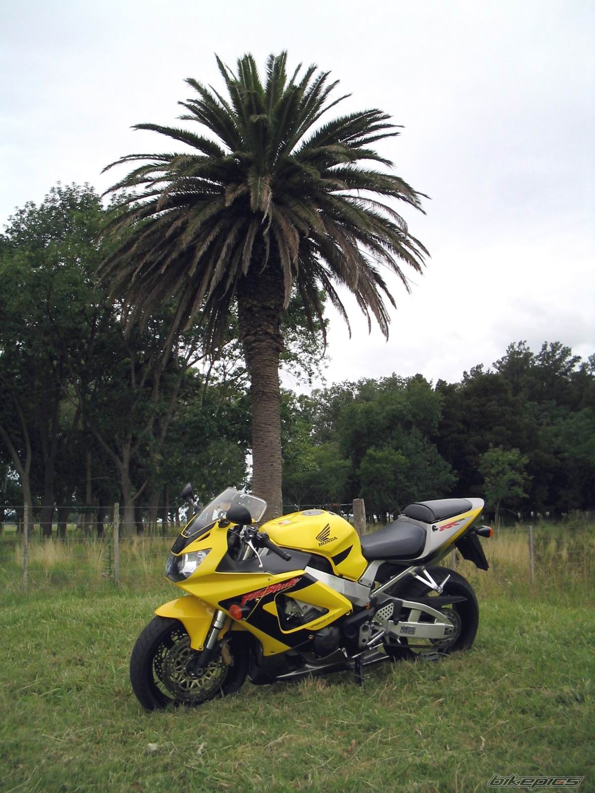 Photo 767186