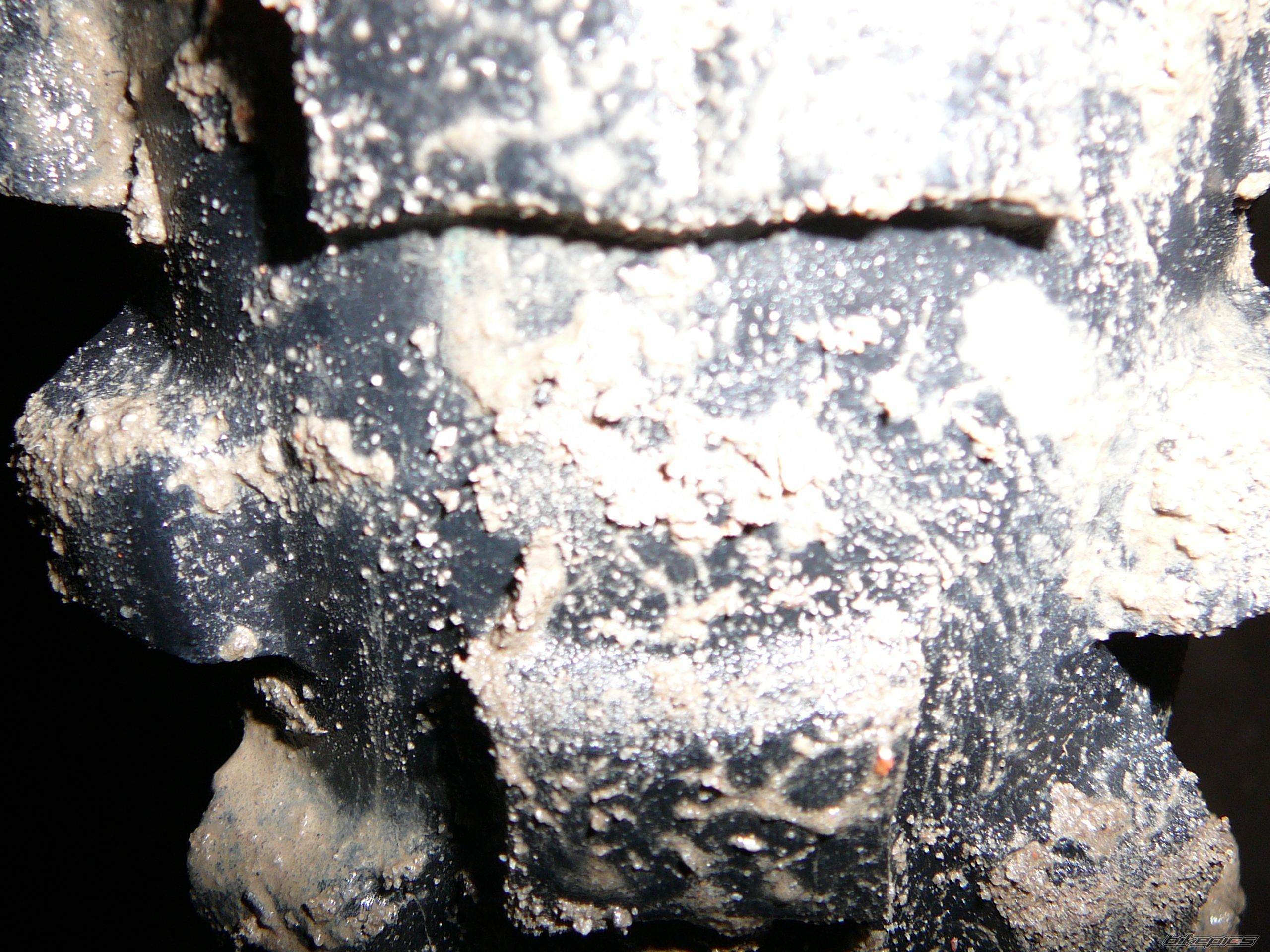 Photo 767386
