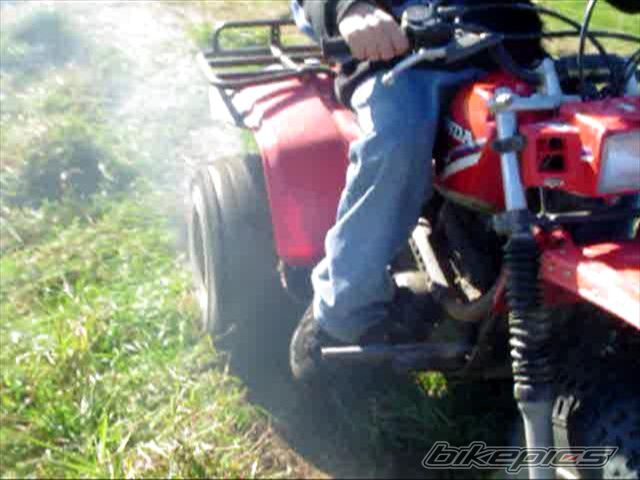 Photo 767539