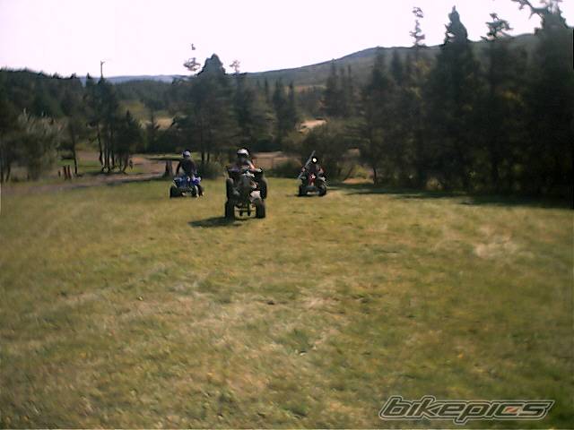 Photo 76764