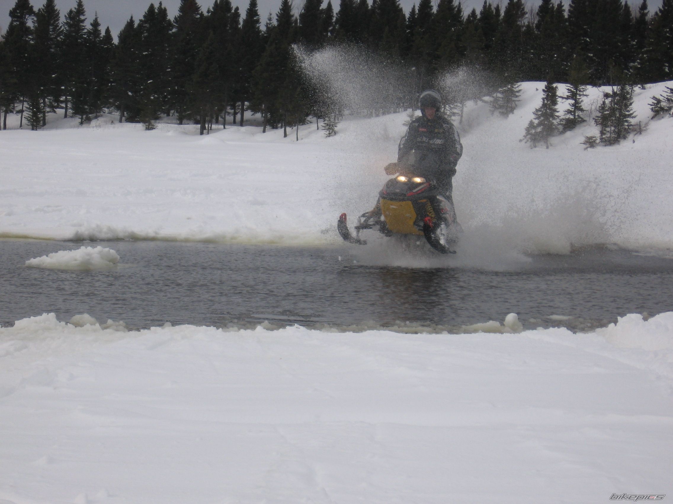 Photo 767695