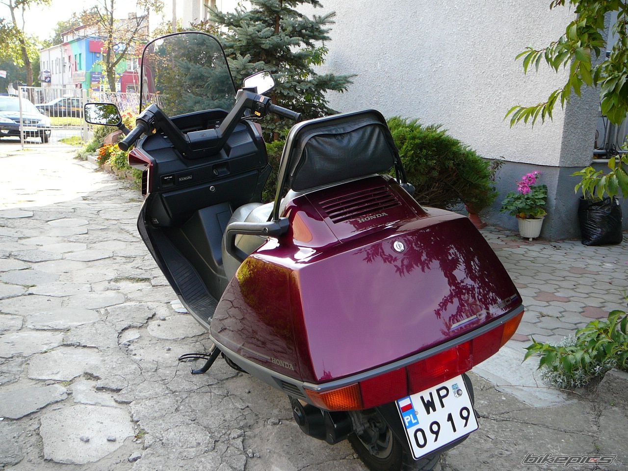 Photo 767994