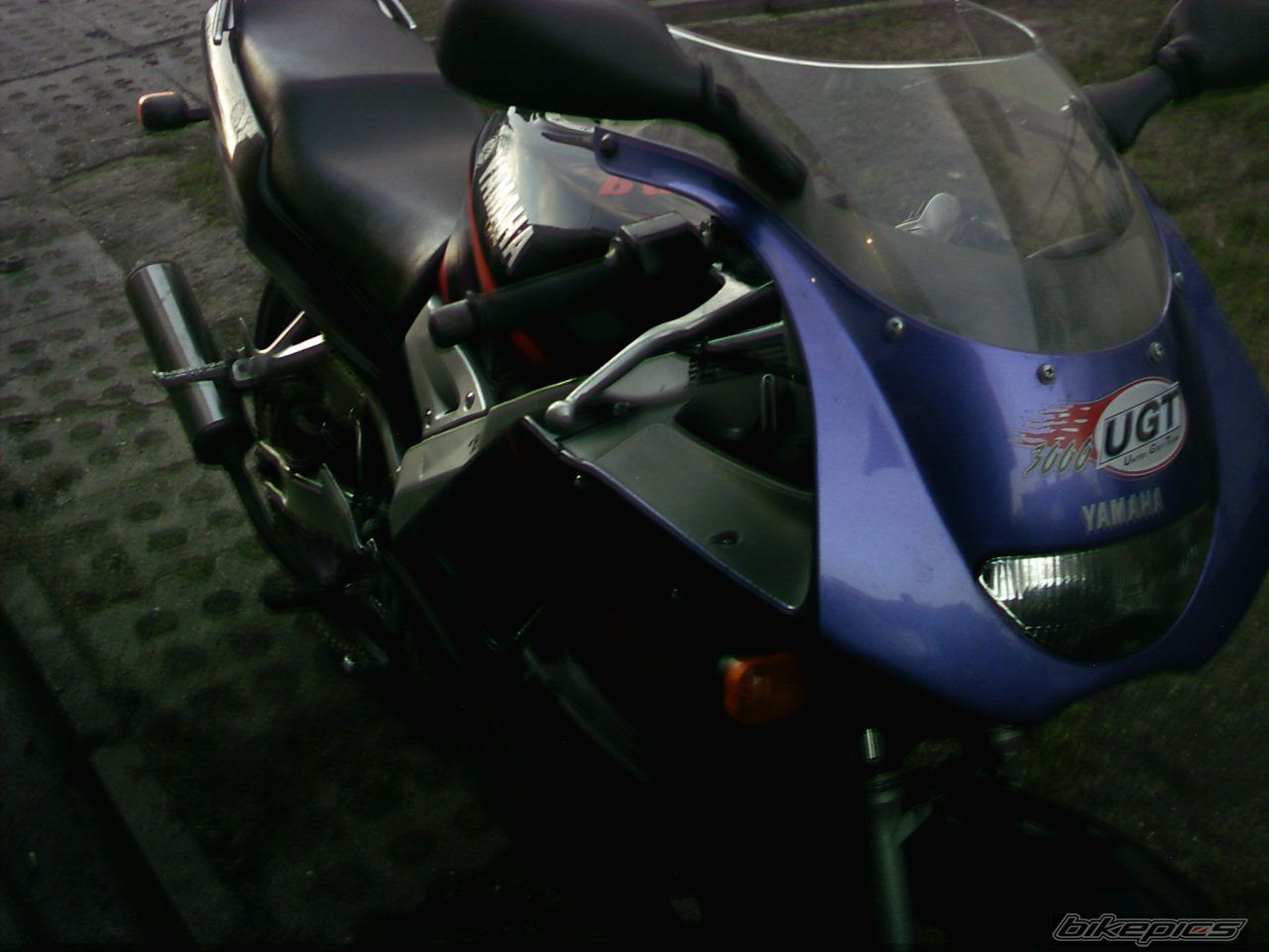 Photo 768031