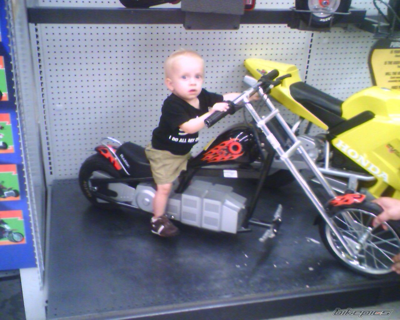 Photo 768264