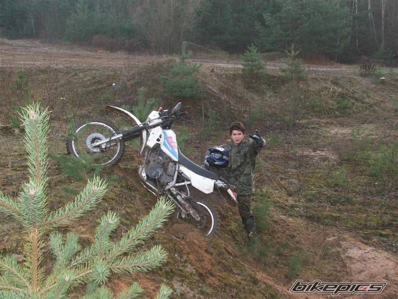 Bike Photo 768287