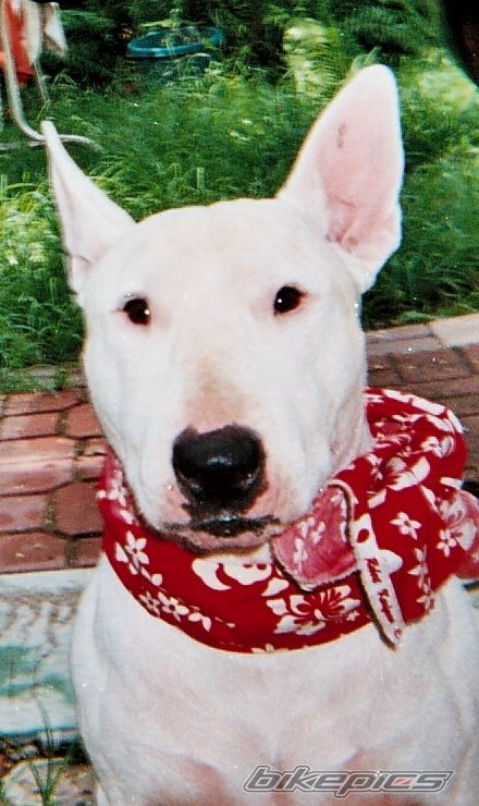 Photo 768415