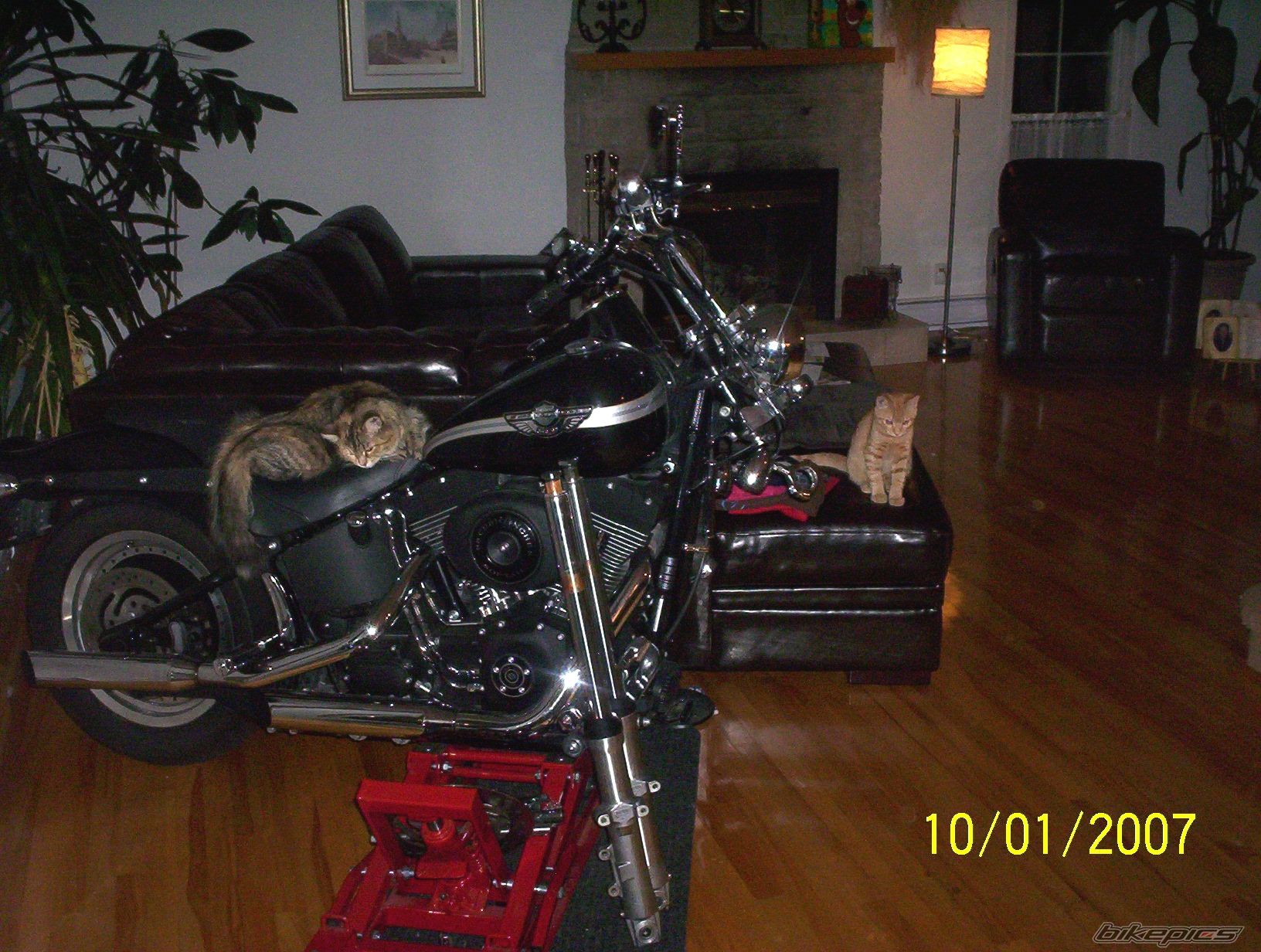 Photo 768434