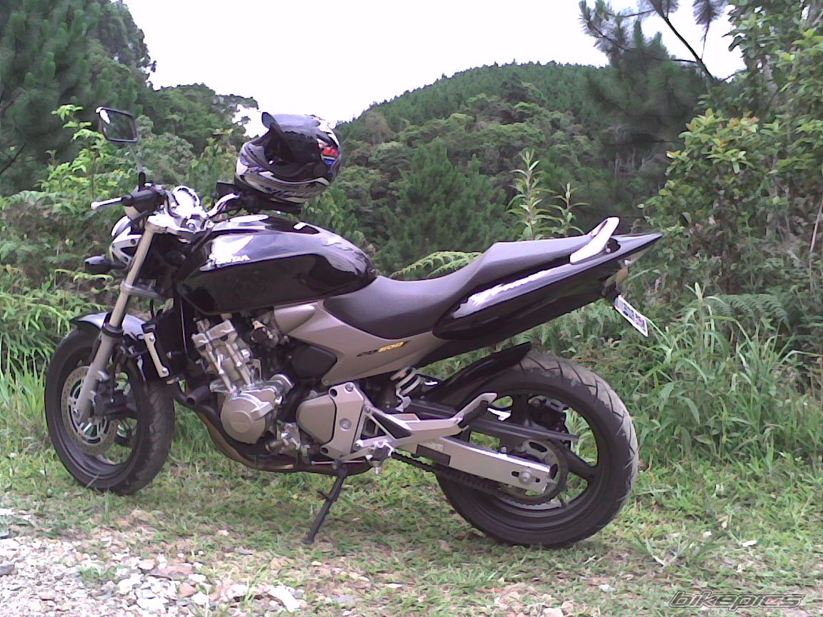 Photo 768451