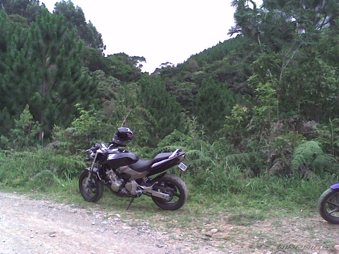 Photo 768452