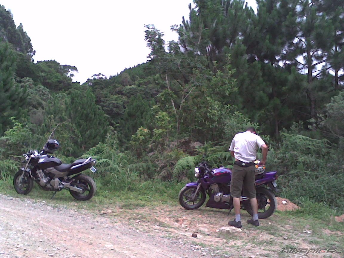 Photo 768453
