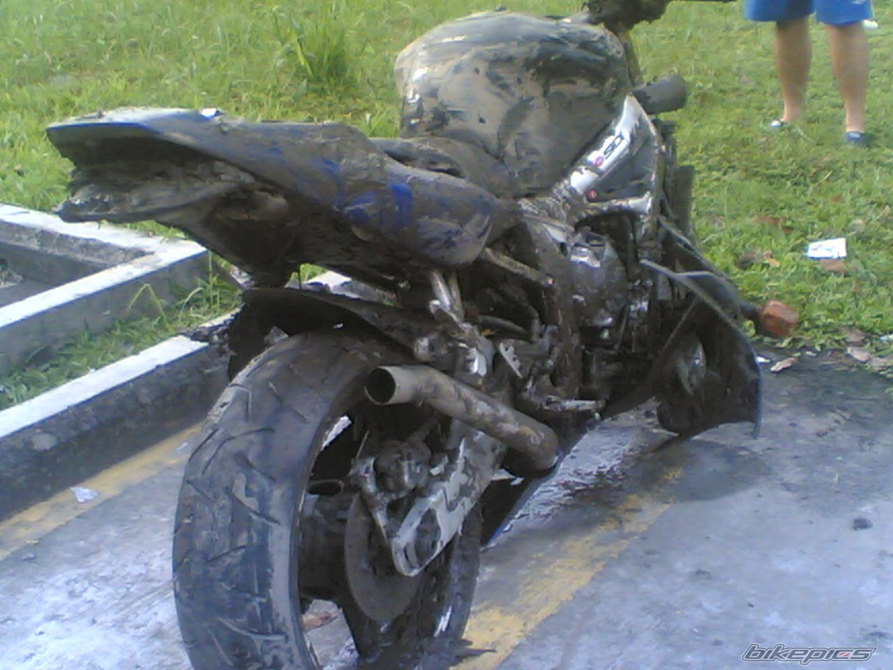Photo 768476