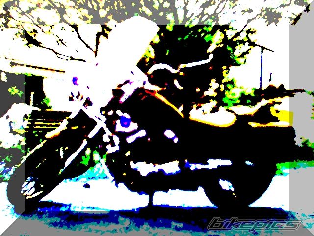 Photo 768520