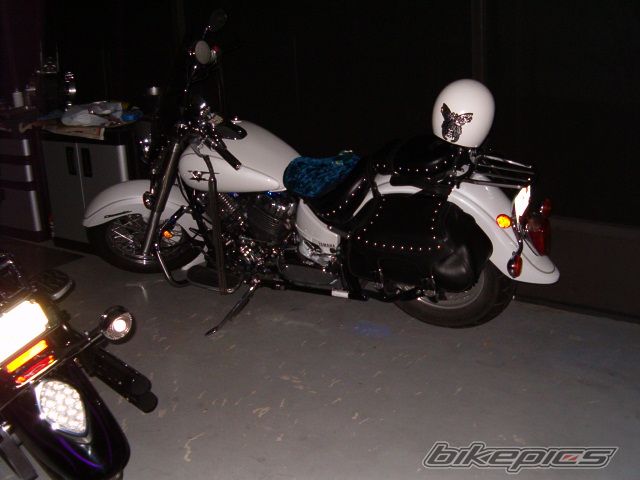 Photo 768568