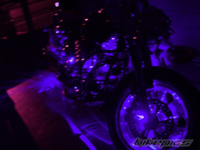 Photo 768573