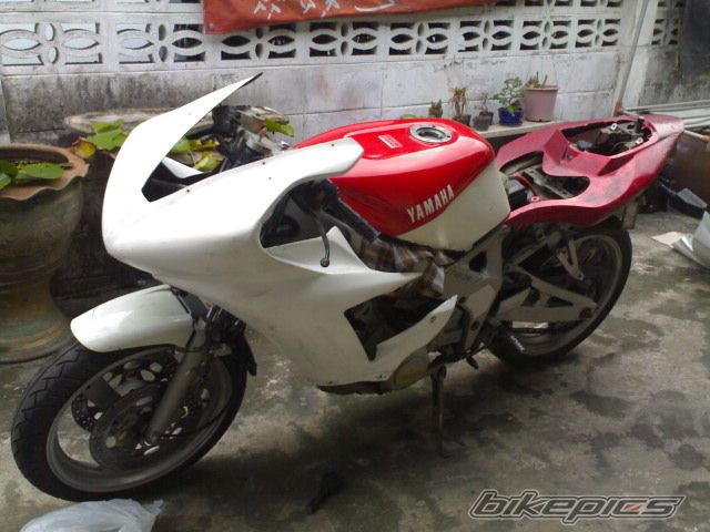 Photo 768616
