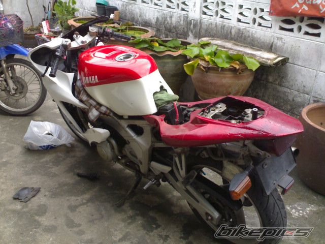 Photo 768618