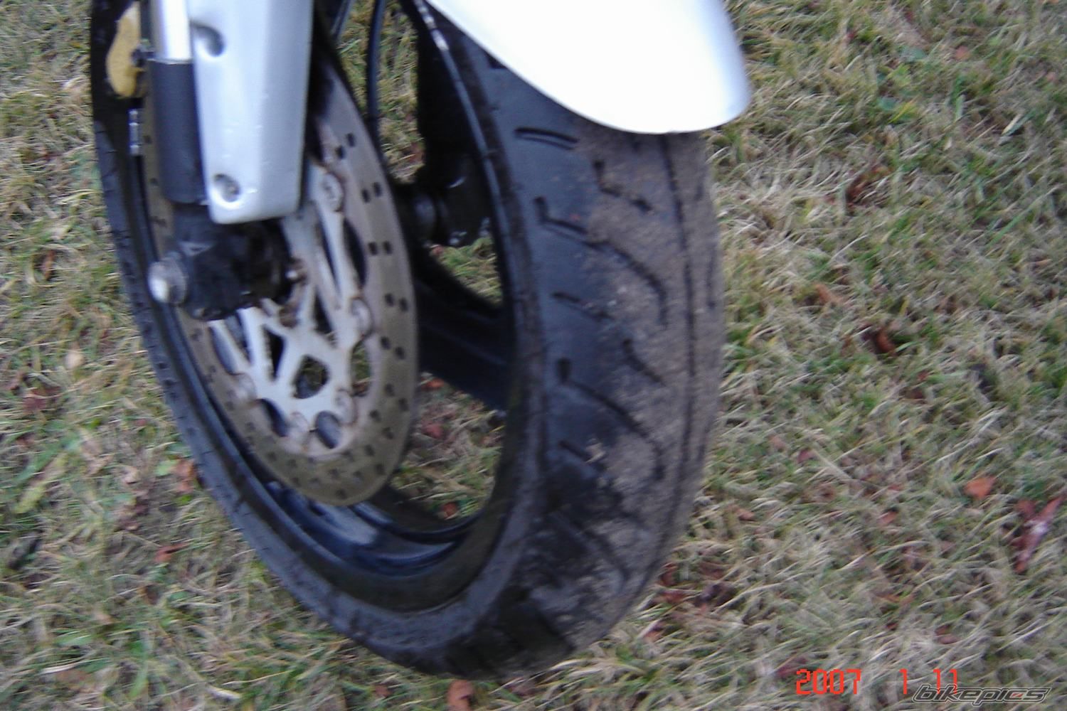 Photo 768671